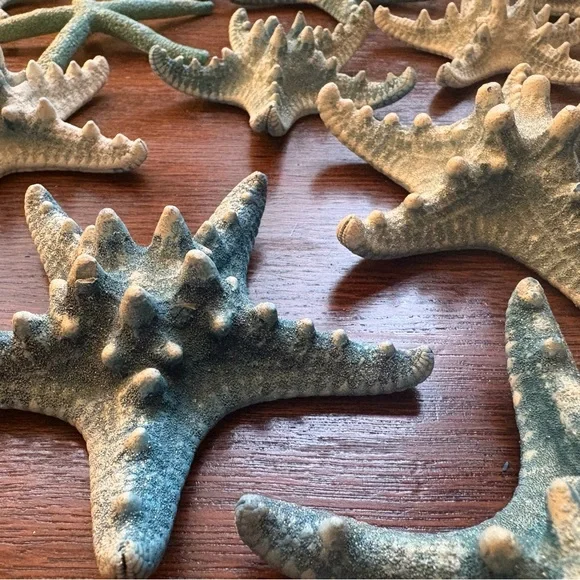 Coastal Starfish Decor 26 pieces of glittery starfish 🐚 🌊 - Picture 2 of 3